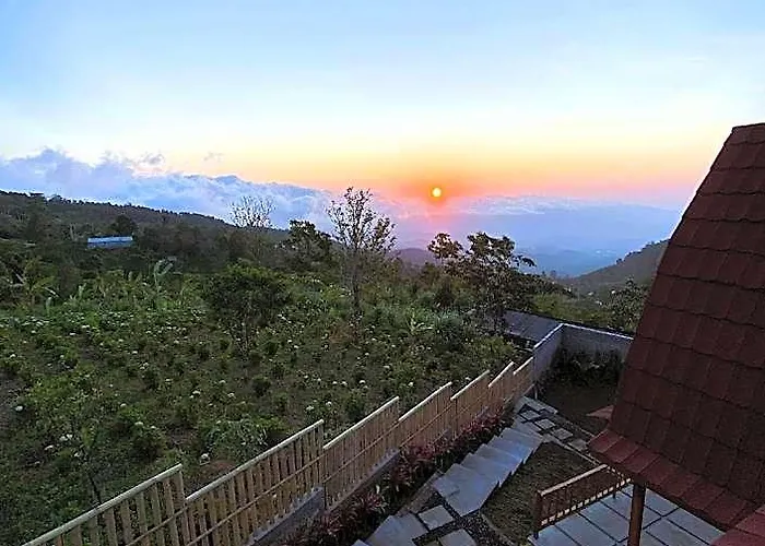 Cabin Terrace